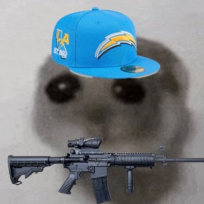 🇺🇸-#BoltUp-#LetsGoDodgers-#GoAztecs-High School Football Player-Airsofter-Gamer-LT Stan-#FTR-Been watching my Bolts since 2018