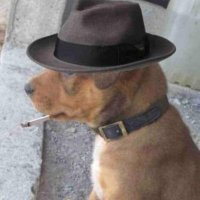Omar Gonzalez 🇵🇦 📚 💻 🔫 🍺 🐍 🗽 (@ogonzalez0584) 's Twitter Profile Photo Omar Gonzalez 🇵🇦 📚 💻 🔫 🍺 🐍 🗽 (@ogonzalez0584) 's Twitter Profile Photo