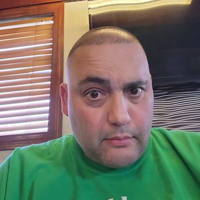 dolfanintampa13's profile picture. 