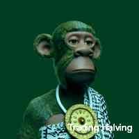 halviingtradin's profile picture. Lurking, actively observing, open minded... crypto, nft addict! xpunk crypto nft thesandbox metaverse $sol $xrp $csc $flr $sgb $xdc $btc $eth $hbar stuff