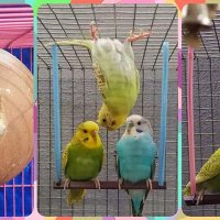 @Surya Prakash (@surya_dhruv) 's Twitter Profile