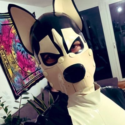{GER/ENG}NSFW 18+ ACC! 24/M/Bi/Rubber/Puppy | Naughty little puppy.I ❤️ paws, ws, public | arctic fox and snep suiter (second sona) :p feel free to dm me