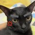 มะตูด (@maawhere) Twitter profile photo มะตูด (@maawhere) Twitter profile photo