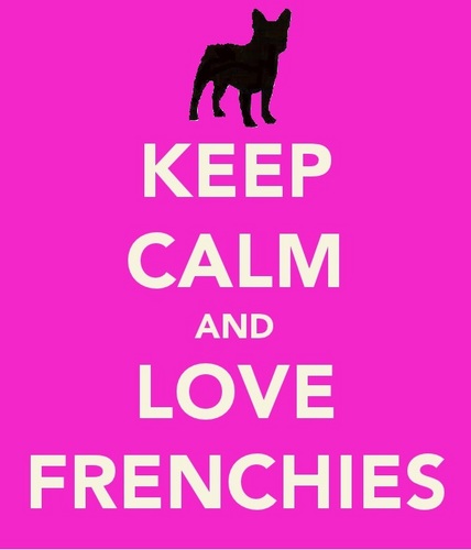 BethanyM_Xox's profile picture. French Bulldogs (Y) dog showing (Y)