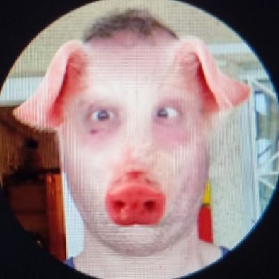 pigface9999's profile picture. I may be bonkers & I may be mad. But when all said and done, I love my wife & I'm the best damn me there will ever be...