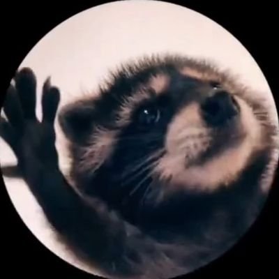 @paps_machine