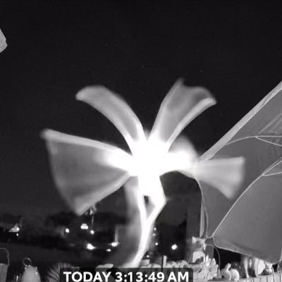 ClothesRich's profile picture. 