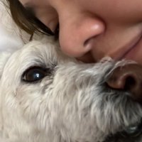 notme (@jiminsgirlvibes) 's Twitter Profile