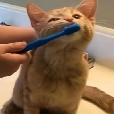 getawaycar214's profile picture. 记录反差的一面