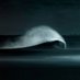 Envoy: Shark Cull (@envoyfilm) Twitter profile photo Envoy: Shark Cull (@envoyfilm) Twitter profile photo