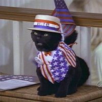 El Gato Salem 🐈‍⬛ (@salempolitico) 's Twitter Profile Photo