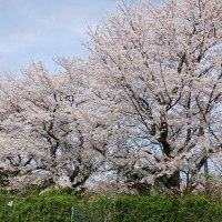 路上のクズ (@db8fzyrt5i47897) 's Twitter Profile Photo 路上のクズ (@db8fzyrt5i47897) 's Twitter Profile Photo