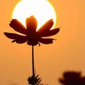 TechTransf52429's profile picture. 