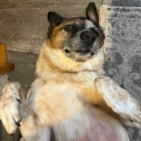 feather (@feather580) 's Twitter Profile