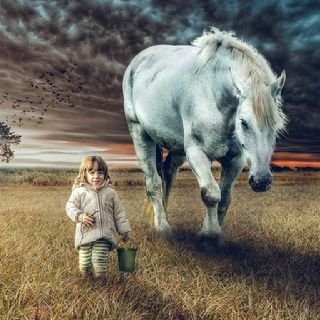 EdwardKazinza's profile picture. //plumber// we are offering quality plumbing services 💧 🚰 🚿 💦 // call us via WhatsApp/normal call  0688797230
Instagram acc; @mwananyamala_plumbing