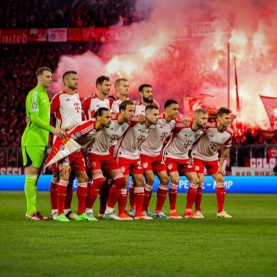 RoteDNA's profile picture. #fcbayern#miasanmia#wieeinedroge