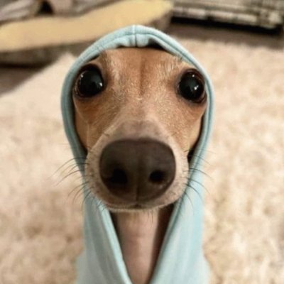 bandspartaa's profile picture. ❤ @bandprotocol's loyal supporter | $BAND is my best treat