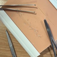 Wishaw Surgical Skills (@uhw_surgskills) 's Twitter Profile