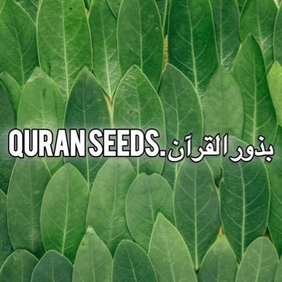 Indeed, Allah is the One Who causes seeds and fruit stones to sprout. He brings forth the living from the dead and the dead from the living. That is Allah!