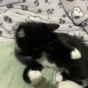 Lisette Ramirez Cortes - @cortes_lis17030 - Twitter