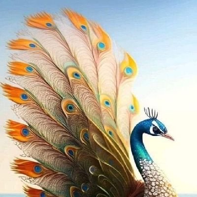 kettaNallavanda's profile picture. 