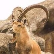 to_mdry's profile picture. 