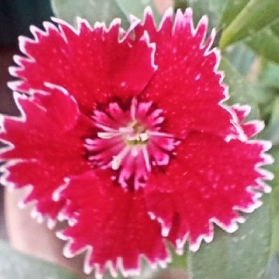 bsverka's profile picture. 