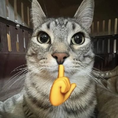 gbantiphp's profile picture. 