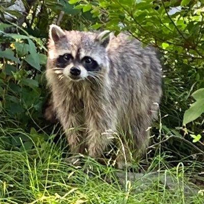 マスターデュエル4期・5期の構築でも遊んでます。 最近エグゼ6の対戦にハマってます エグゼ6(PS4)の対戦用チップ・レコードお渡しします。