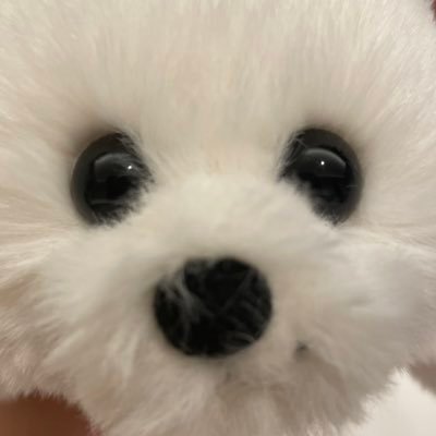 ggggmda's profile picture. 