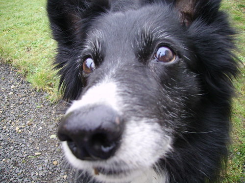 GillianLockhar1's profile picture. #mactivist #amwriting