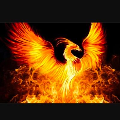 Sometimes you have to burn yourself to the ground before you can rise like a Phoenix from the ashes.