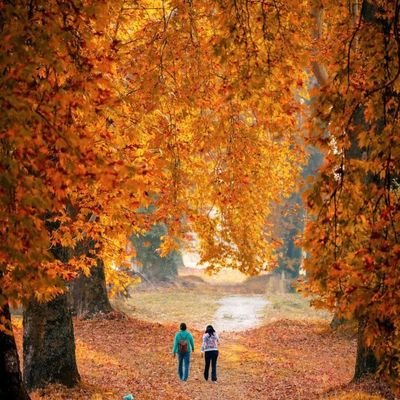Welcome to Chinar Chronicles🍁 Sharing stories, culture, and beauty of Kashmir through captivating images and insightful narratives.