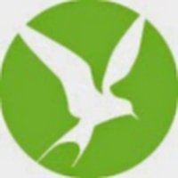 Discover the World (DiscoverTheWorld) (@discoverth89459) 's Twitter Profile