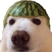 Feifl0 (@feifloo) 's Twitter Profile