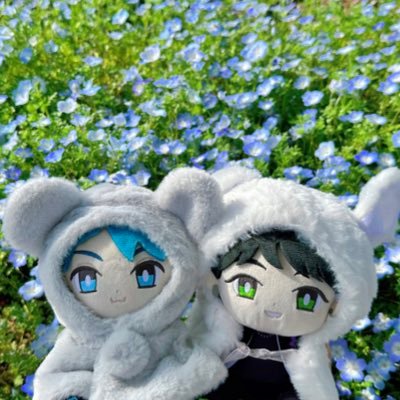 𝙘𝙝𝙖さんのプロフィール画像