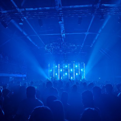 rotman8107's profile picture. 