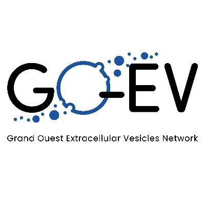 GO-EV (Grand Ouest Extracellular Vesicles Network) est un réseau visant à promouvoir et favoriser les échanges d’informations et de technologies sur les EVs.