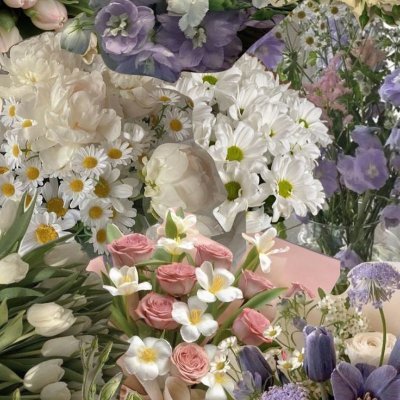 Rumi5555rest's profile picture. 