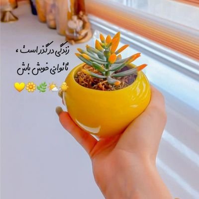 ای سودا