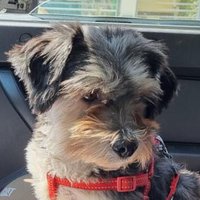 ゴミゲル　人間万屋　in 🇯🇵 (@naotohamamitsu) Twitter profile photo