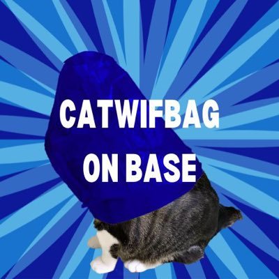 Catwifbag has everything your stylish cat needs to make a statement.
https://t.co/rMpOY0CjDb