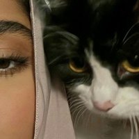 ترف العتيبي (@ttyby13379) Twitter profile photo