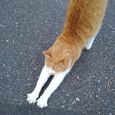 nbnb40km's profile picture. 