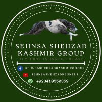 SEHNSA SHEHZAD KASHMIR GROUP(@Zeren081) 's Twitter Profile Photo