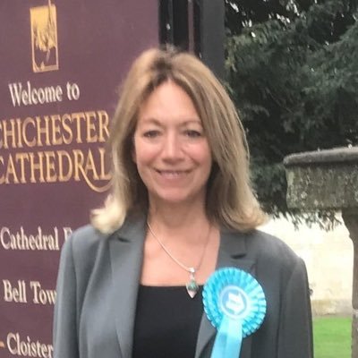 PPC Chichester Reform UK  BrexitParty PPC Freeze non essential Immigration Lift income tax point to £20,000 NHS staff pay zero basic rate tax Save Our Fishing