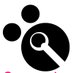 Qweerdog (@qweerdog) Twitter profile photo Qweerdog (@qweerdog) Twitter profile photo
