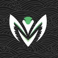 SAN ESPORT(@TeamSanEsport) 's Twitter Profile Photo