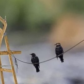 trendking__'s profile picture. #LuxuryLifestyle#

🇯🇵🇫🇰