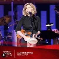 Allison Krause (@allisonprvt) 's Twitter Profile